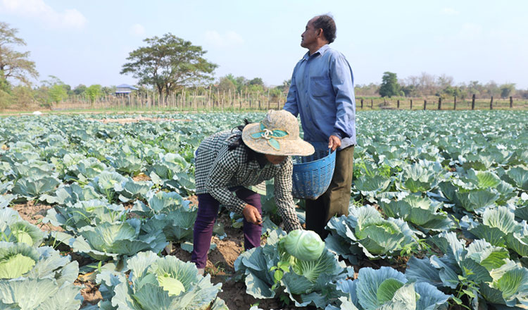 Cambodia re-issues ban on imports from Thailand